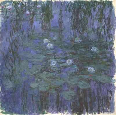 Blue_Water_Lilies