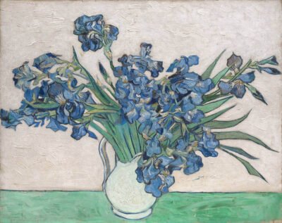 Irises in White Vase