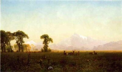 albert bierstadt deer grazing, grand tetons, wyoming 1861