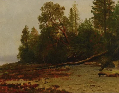 albert bierstadt the fallen tree