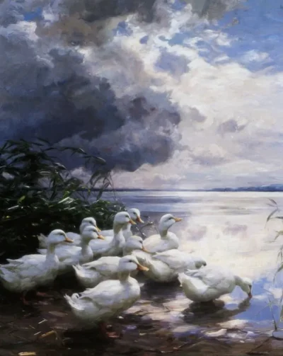 ducks at the lakes edge